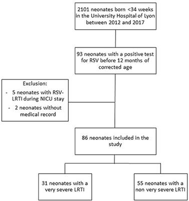 Risk Factors of Very Severe RSV Infections in a Multicenter Cohort of Very Preterm and Extreme Preterm Babies Receiving or Not Palivizumab